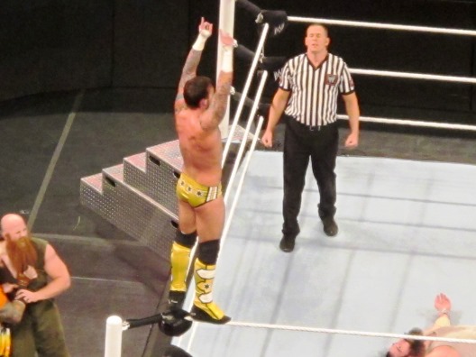 survivorseries201316