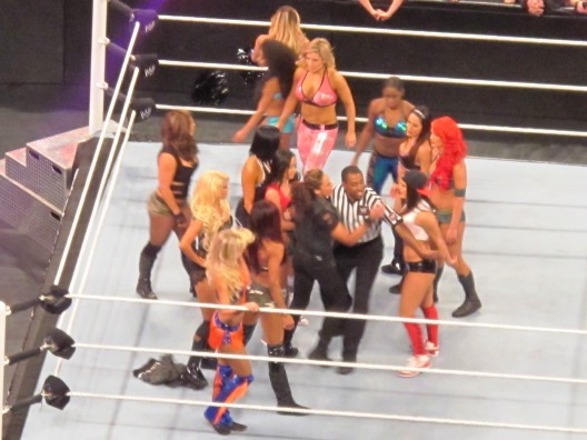 survivorseries20137